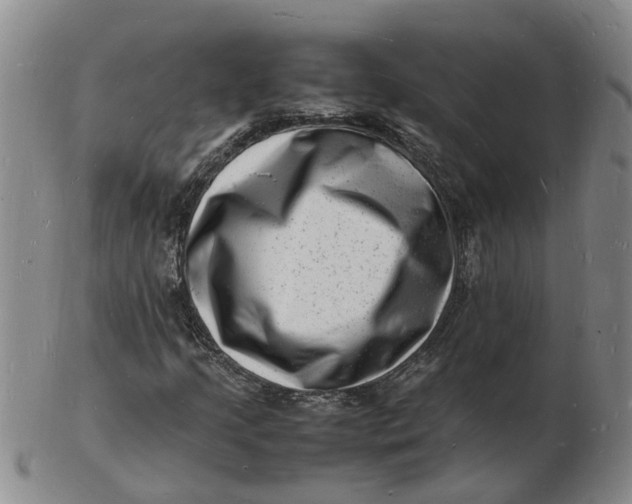 X0000102781205200809081020