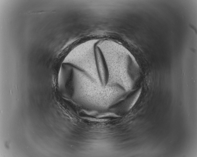 X0000102781206200809081020