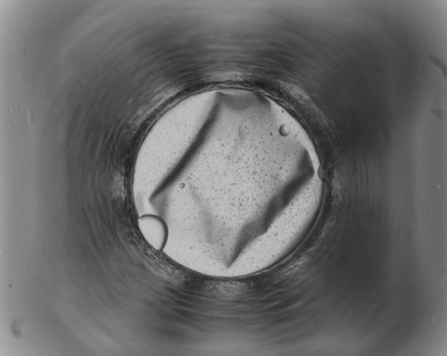 X0000102781209200809081020