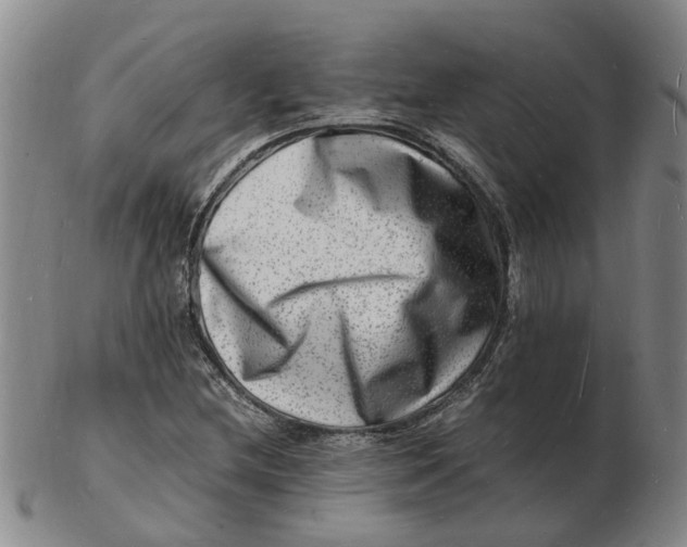 X0000102781212200809081020