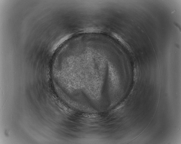 X0000102781213200809081020