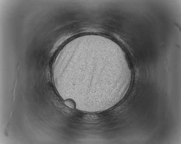 X0000102781215200809081020