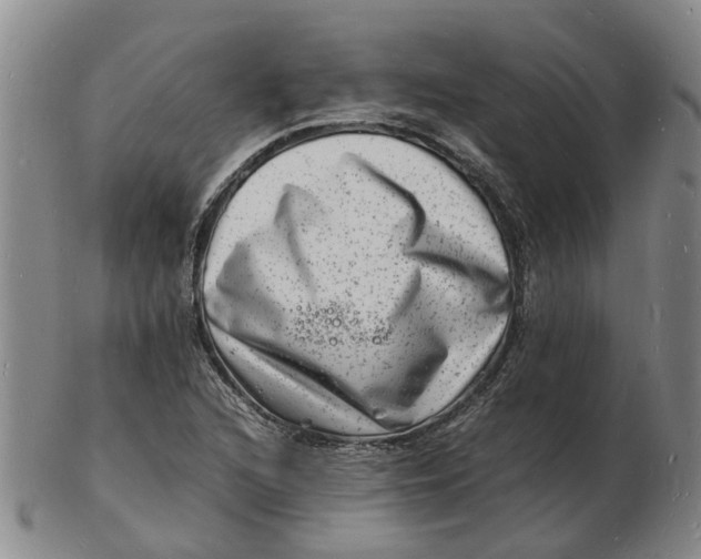 X0000102781216200809081020