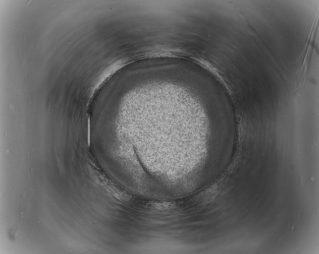 X0000102781219200809081020