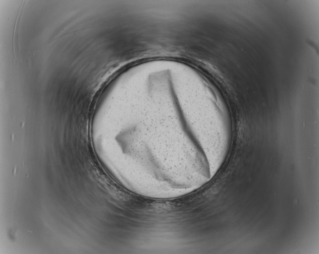 X0000102781220200809081020