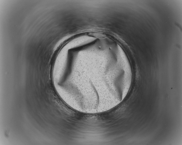 X0000102781222200809081020