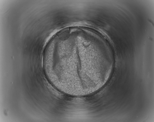 X0000102781224200809081020