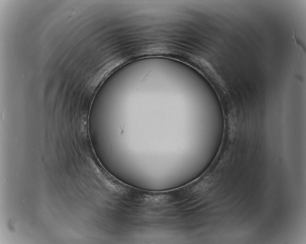 X0000102781225200809081020