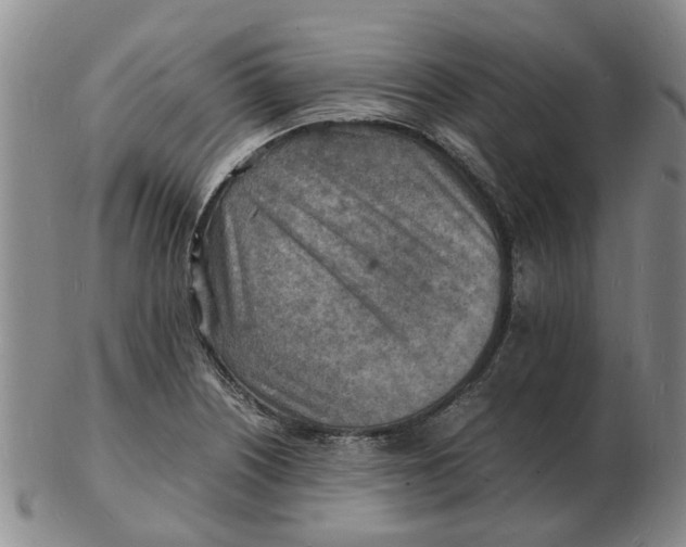 X0000102781226200809081020