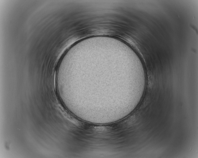 X0000102781227200809081020