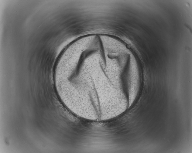 X0000102781230200809081020