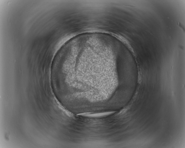 X0000102781231200809081020