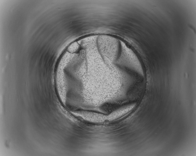 X0000102781232200809081020