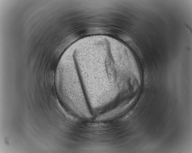 X0000102781233200809081020