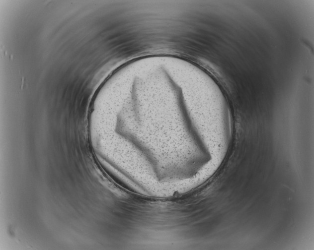 X0000102781236200809081020