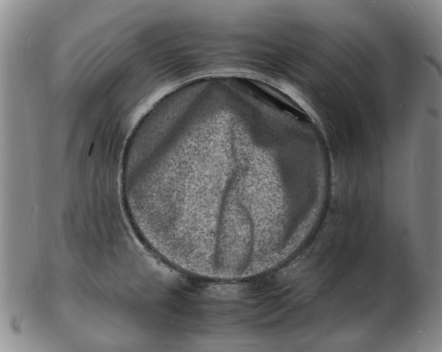 X0000102781237200809081020