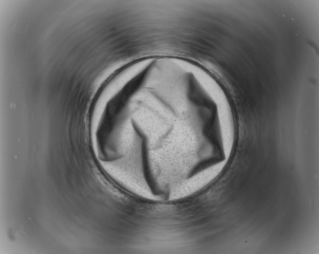 X0000102781238200809081020