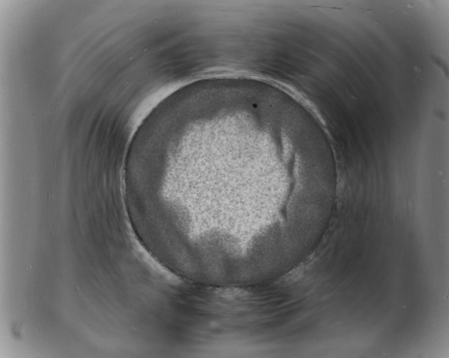 X0000102781239200809081020