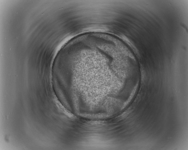 X0000102781240200809081020