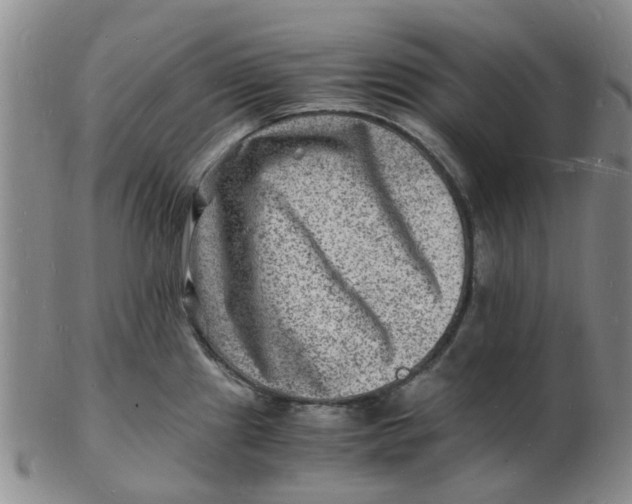 X0000102781241200809081020