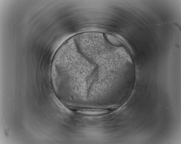 X0000102781244200809081020