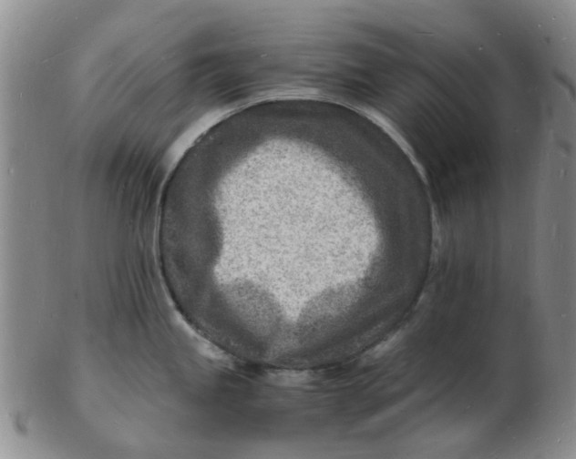 X0000102781245200809081020