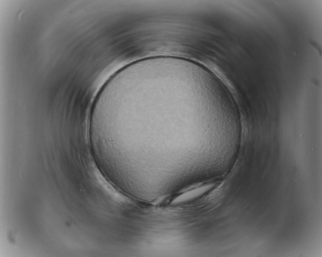 X0000102781246200809081020