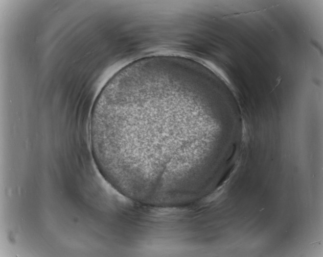 X0000102781247200809081020