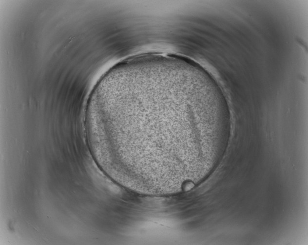 X0000102781248200809081020