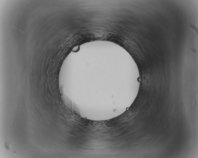 X0000102781249200809081020