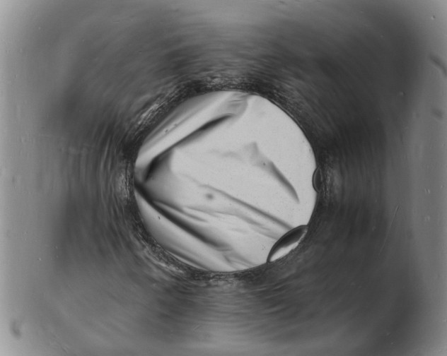 X0000102781250200809081020