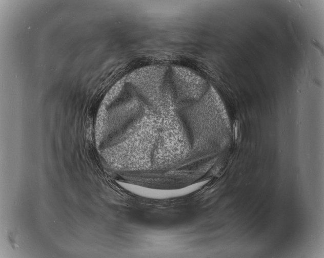 X0000102781251200809081020