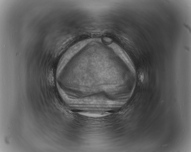 X0000102781252200809081020