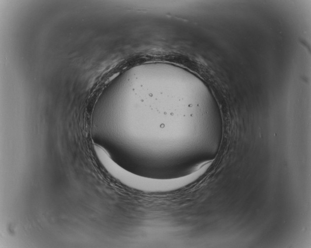 X0000102781253200809081019