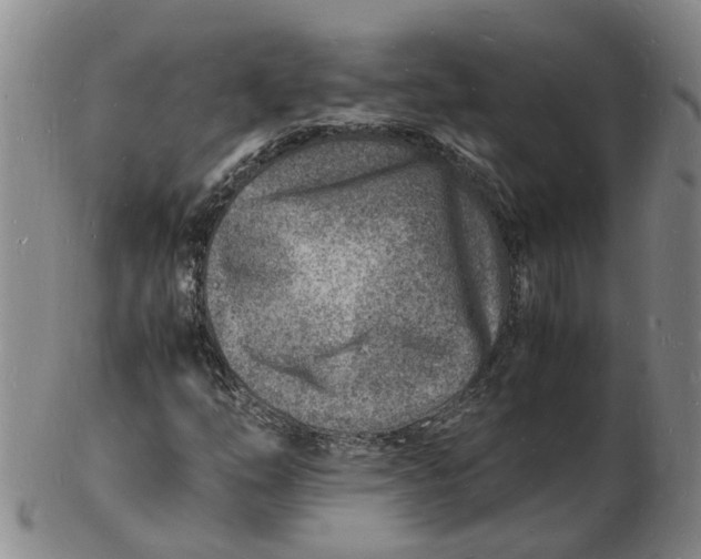 X0000102781254200809081019