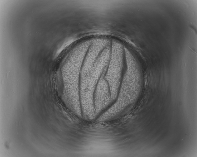 X0000102781255200809081019