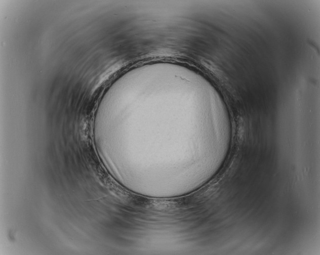 X0000102781258200809081019