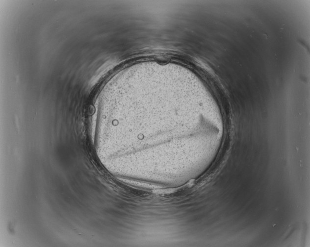 X0000102781259200809081019