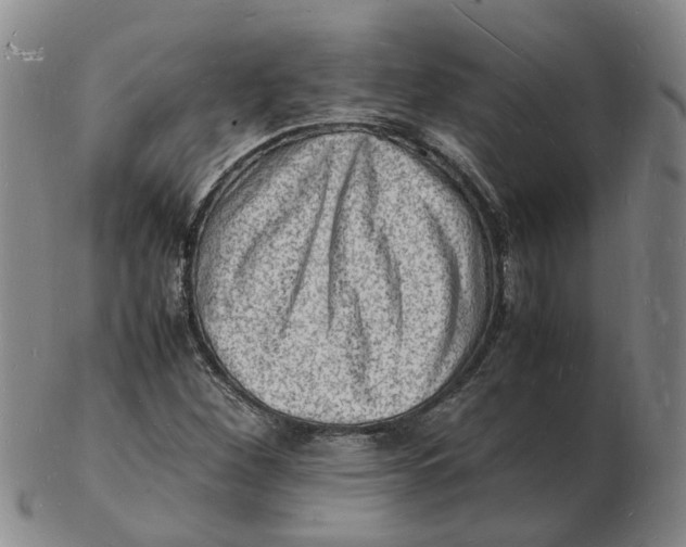 X0000102781260200809081019