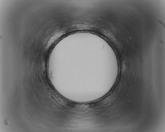 X0000102781261200809081019