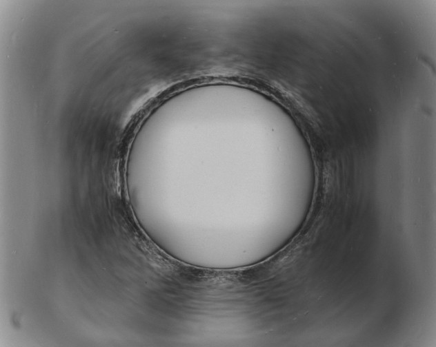 X0000102781262200809081019