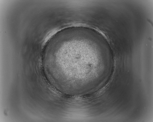 X0000102781263200809081019