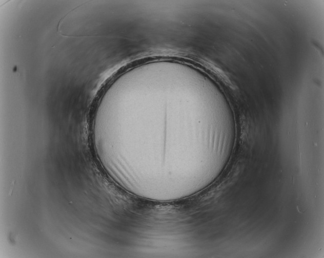 X0000102781264200809081019