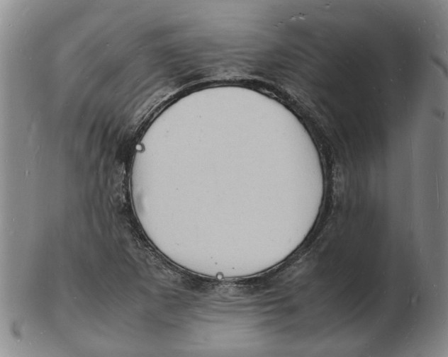 X0000102781265200809081019