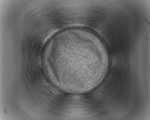 X0000102781266200809081019