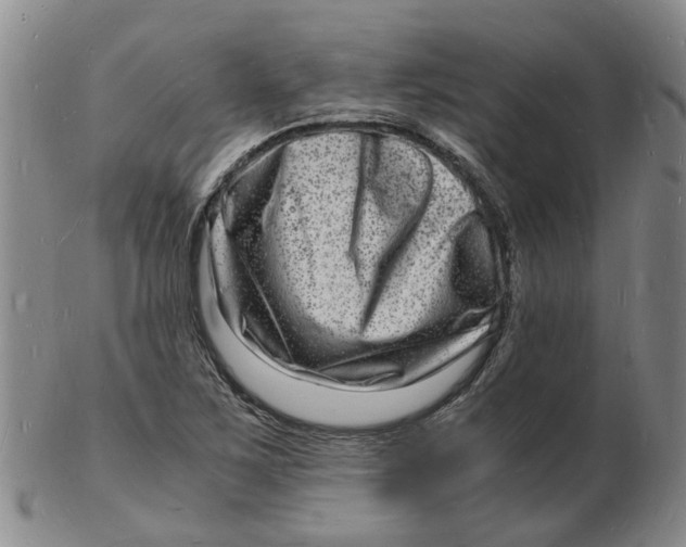 X0000102781267200809081019