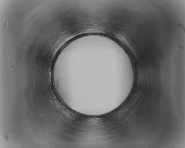 X0000102781268200809081019