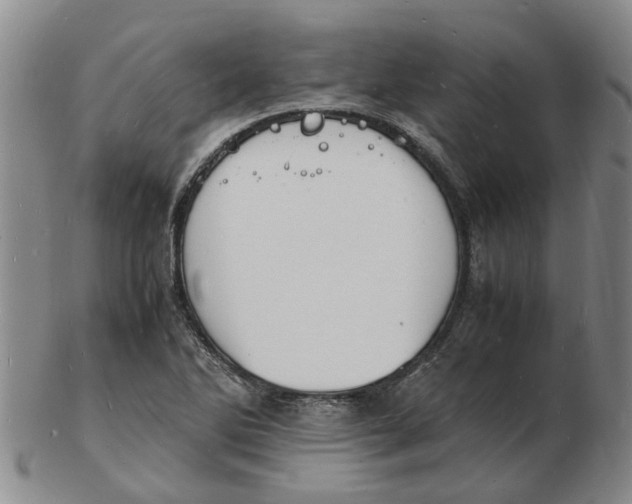 X0000102781270200809081019