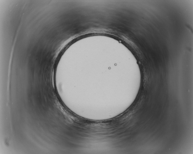 X0000102781272200809081019