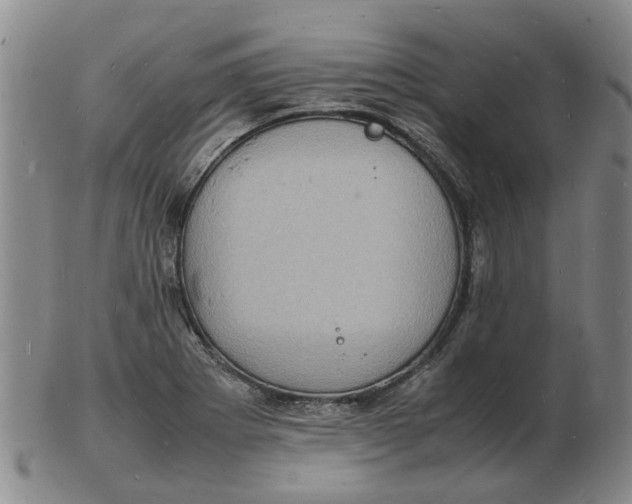 X0000102781273200809081019